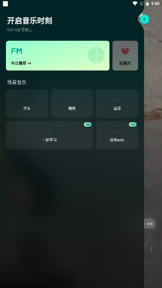 波点音乐app安卓版