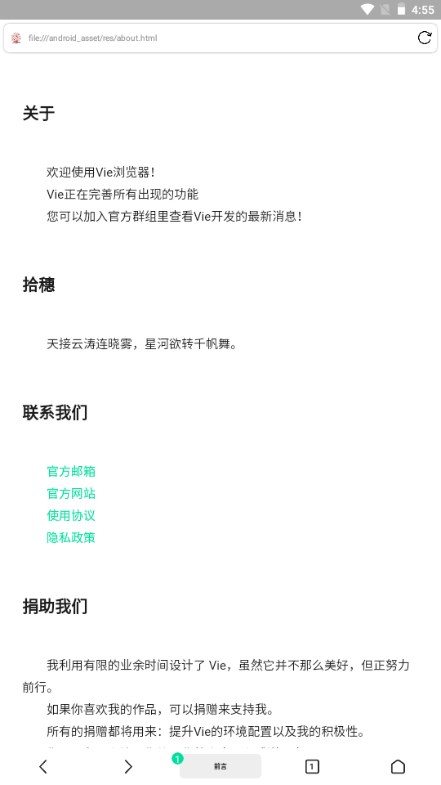 Vie浏览器app